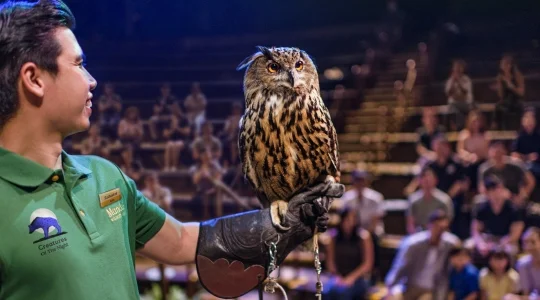 ナイトサファリ